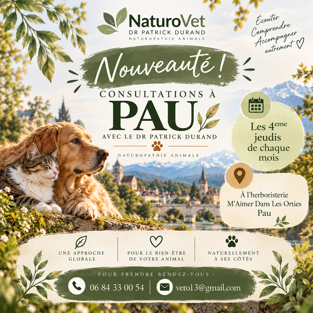 Consultations pau oct2026