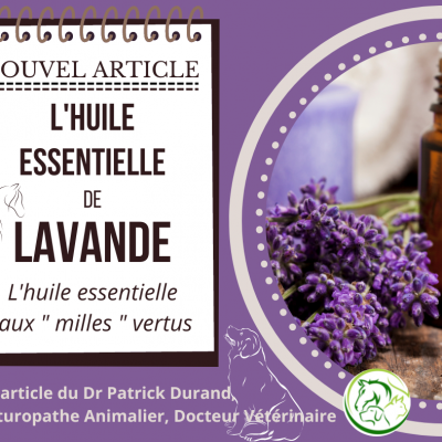He lavande