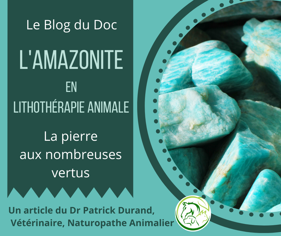 L'amazonite en lithothérapie animale