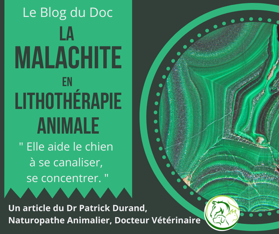 La Malachite en Lithothérapie Animale