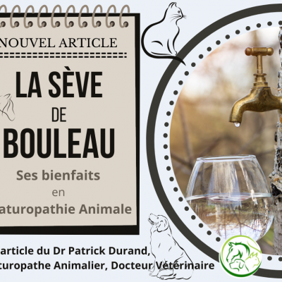 La se ve de bouleau