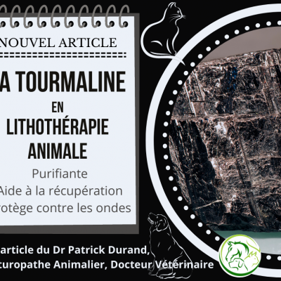 La tourmaline