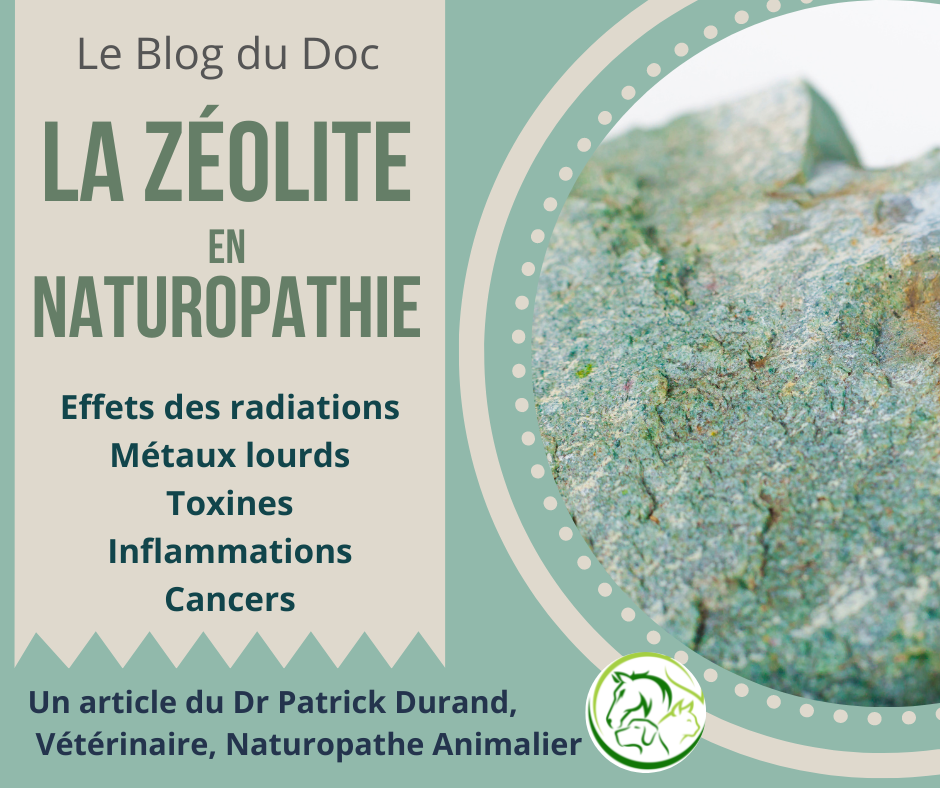 La Zéolite, un cristal peu utilisé en Naturopathie et pourtant …