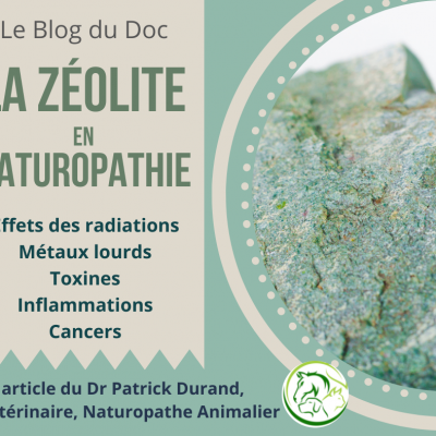 La zeolite