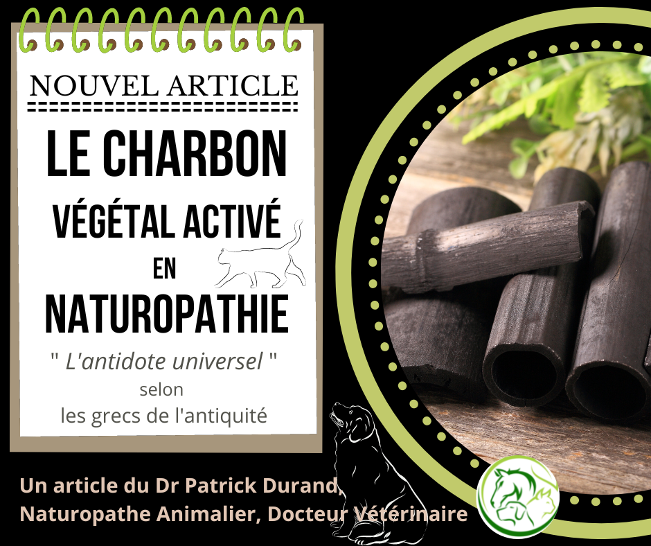 Le charbon actif