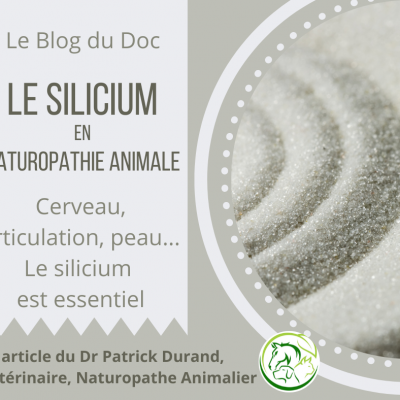 Le silicium