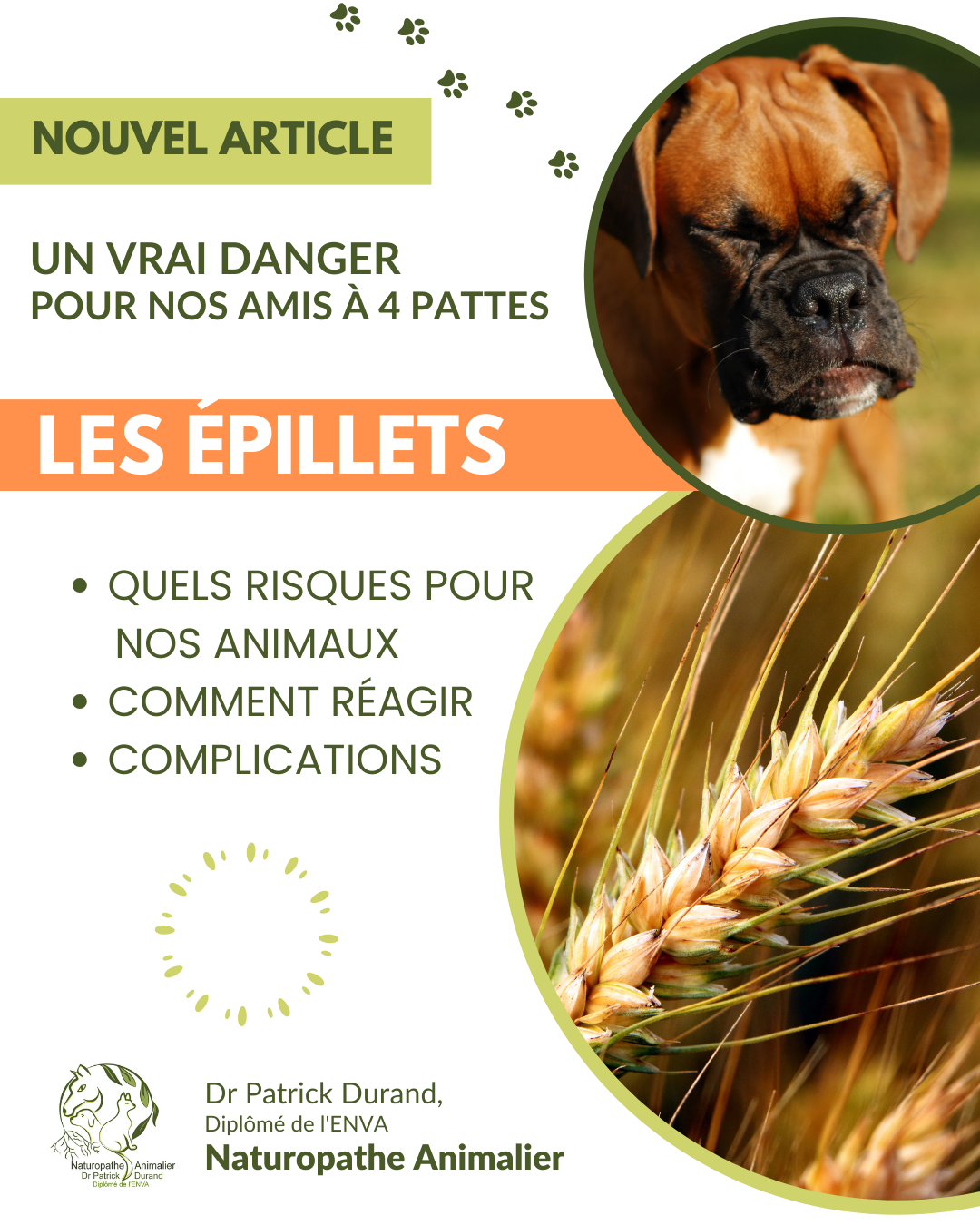 Les epillets