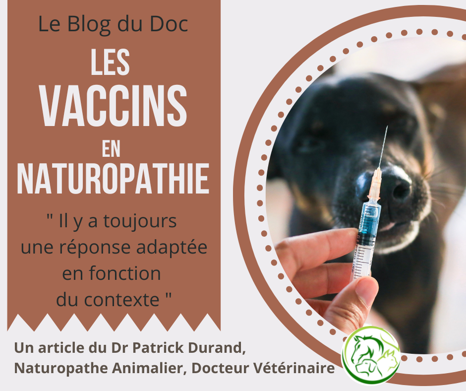 Les Vaccins vu par un Naturopathe Animalier