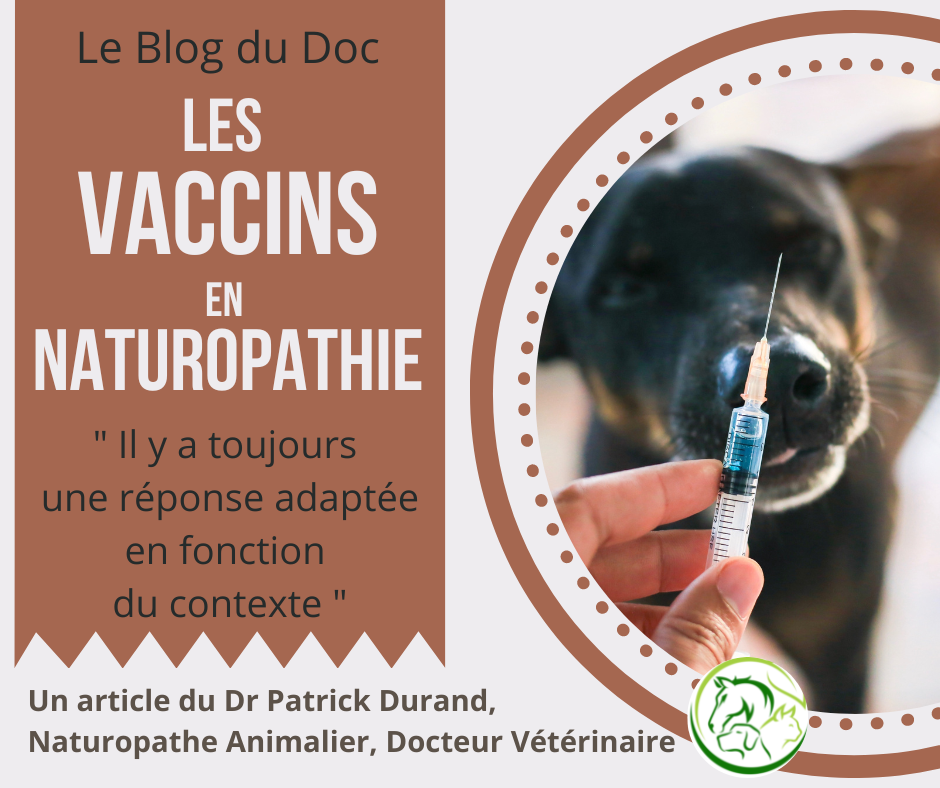 Les vaccins