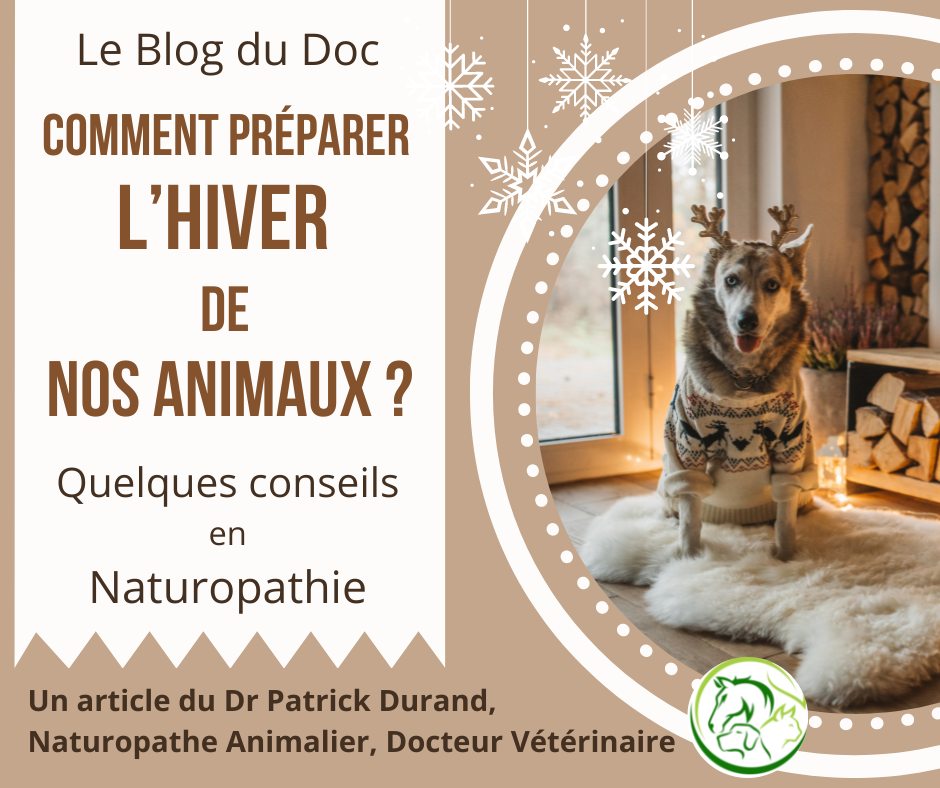 Preparer lhiver des animaux