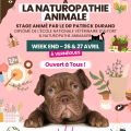 Stage initiation naturopathie animale 2