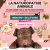 Stage initiation naturopathie animale 2