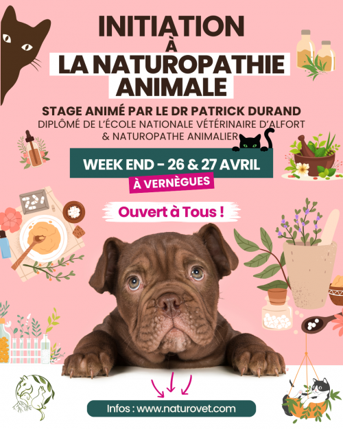 Stage initiation naturopathie animale 2