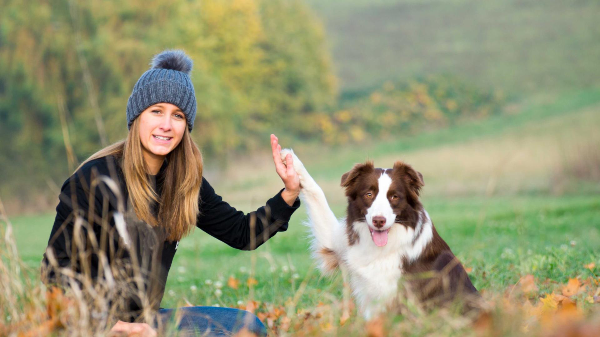 Vie saine chien